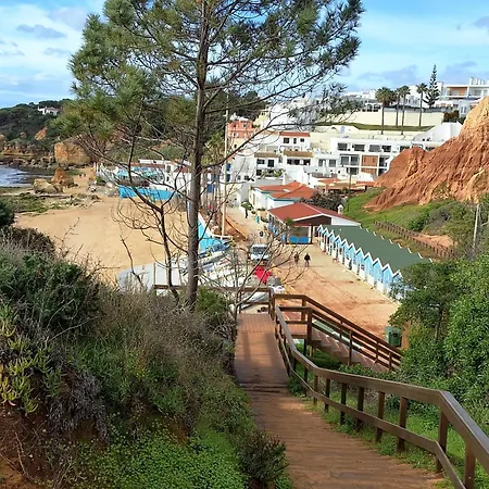 Paradise *